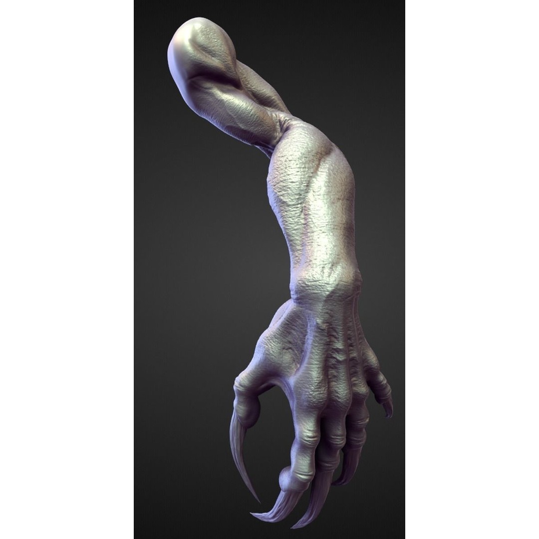High Poly Arms 3D Model – Fantasy Character Sculpt Pack, Blender & OBJ - View 15