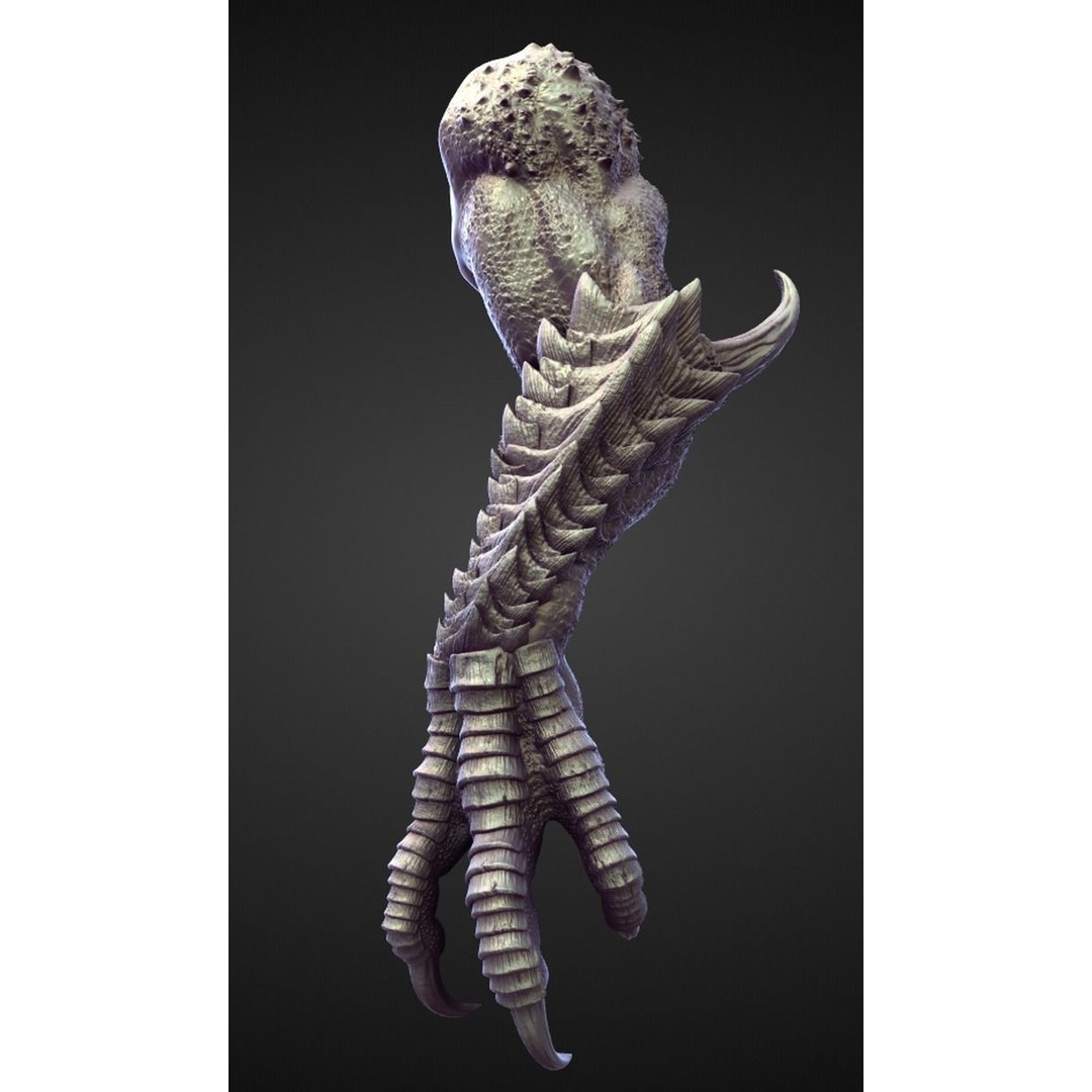 High Poly Arms 3D Model – Fantasy Character Sculpt Pack, Blender & OBJ - View 19