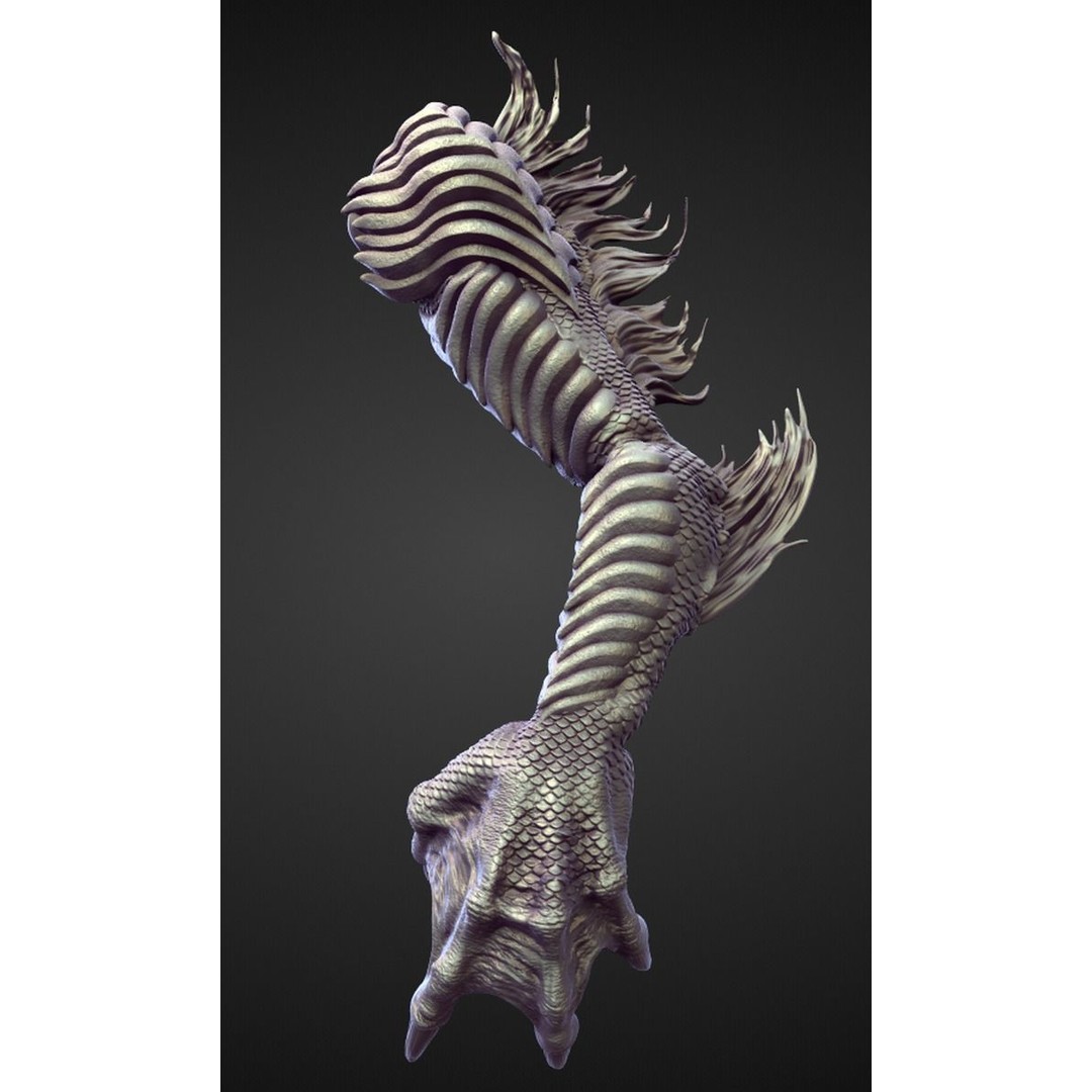 High Poly Arms 3D Model – Fantasy Character Sculpt Pack, Blender & OBJ - View 22