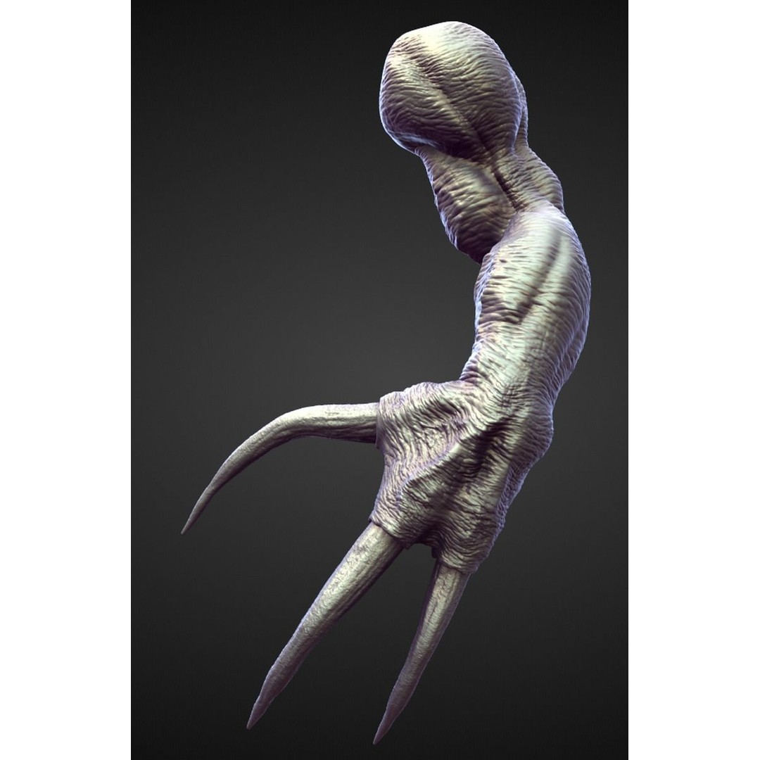 High Poly Arms 3D Model – Fantasy Character Sculpt Pack, Blender & OBJ - View 23