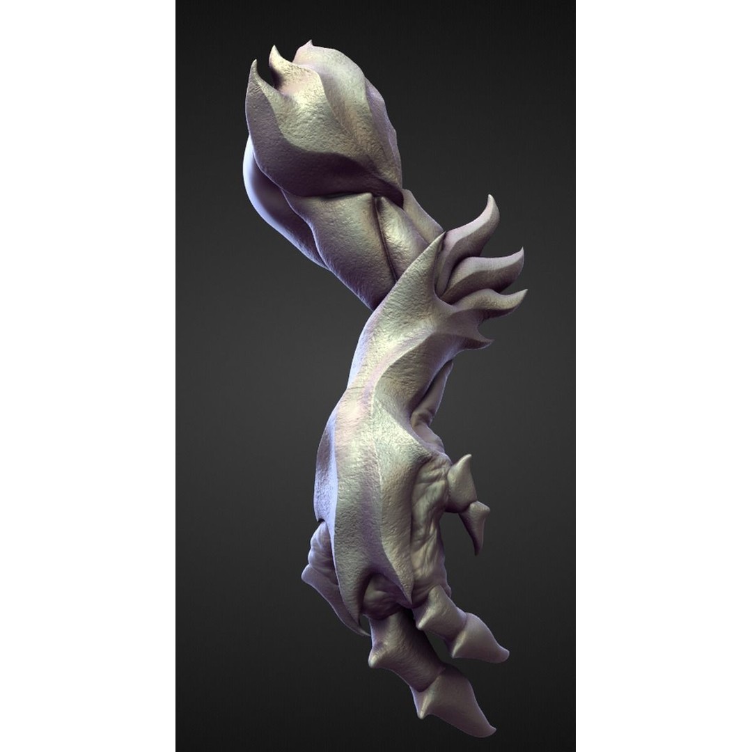 High Poly Arms 3D Model – Fantasy Character Sculpt Pack, Blender & OBJ - View 24