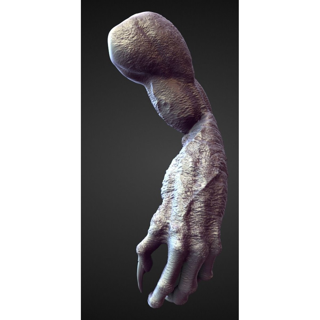 High Poly Arms 3D Model – Fantasy Character Sculpt Pack, Blender & OBJ - View 26