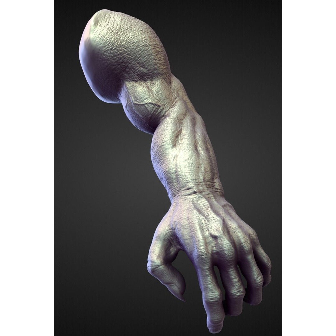 High Poly Arms 3D Model – Fantasy Character Sculpt Pack, Blender & OBJ - View 4