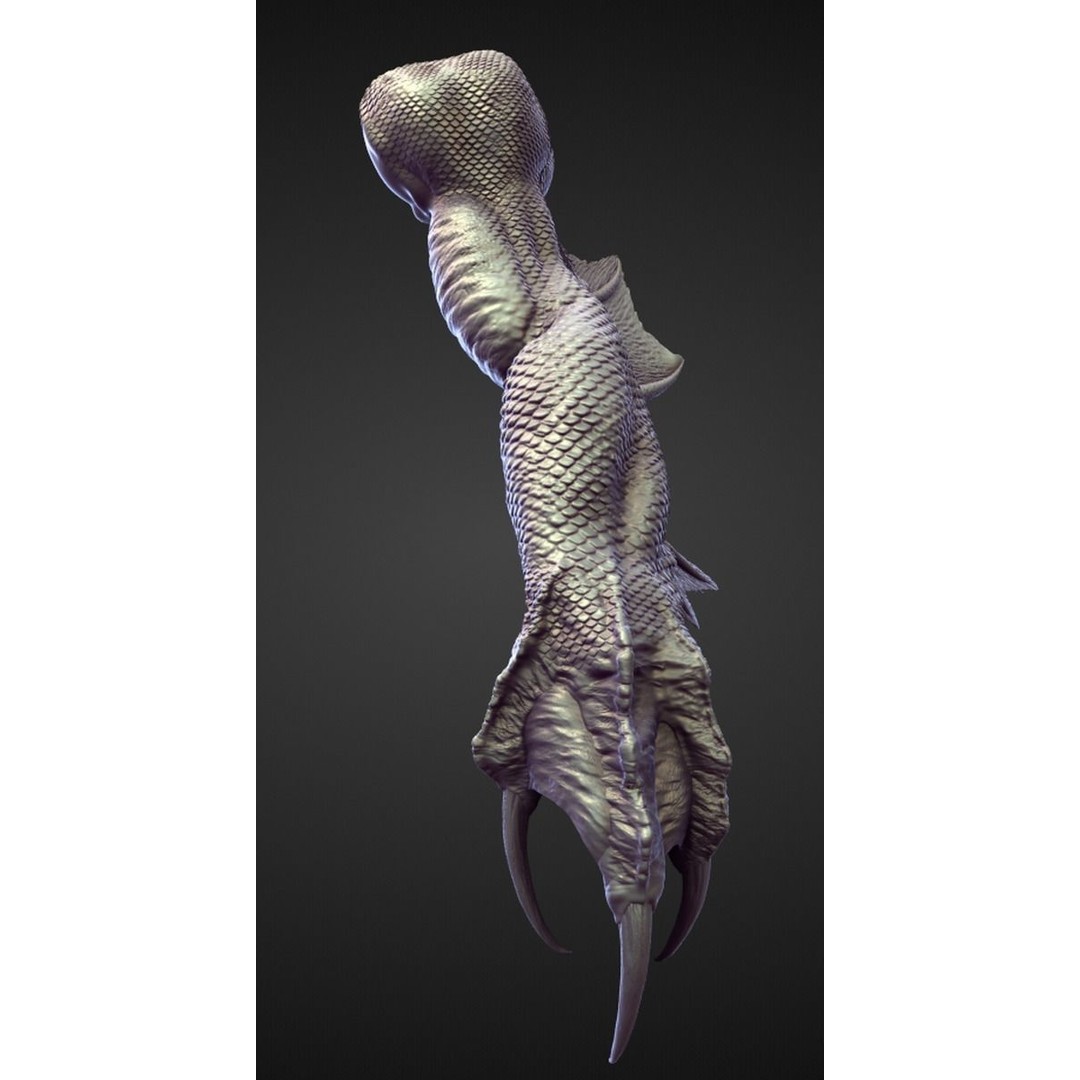 High Poly Arms 3D Model – Fantasy Character Sculpt Pack, Blender & OBJ - View 40