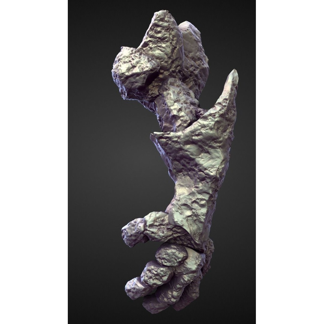 High Poly Arms 3D Model – Fantasy Character Sculpt Pack, Blender & OBJ - View 41