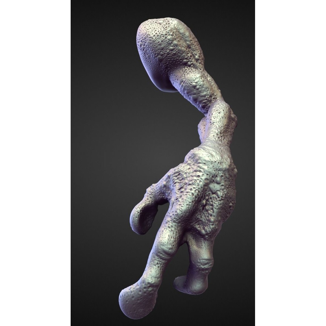 High Poly Arms 3D Model – Fantasy Character Sculpt Pack, Blender & OBJ - View 42