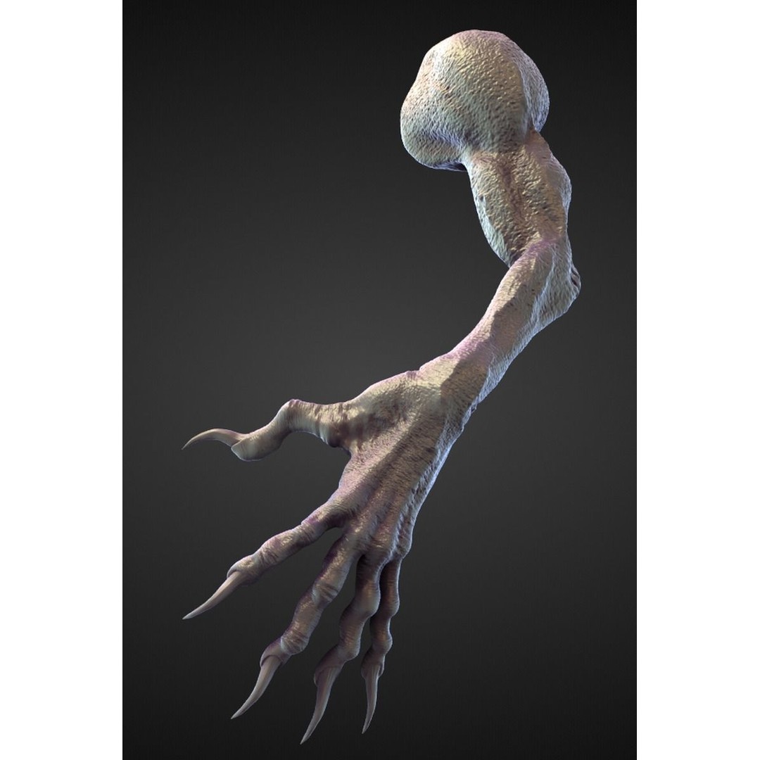 High Poly Arms 3D Model – Fantasy Character Sculpt Pack, Blender & OBJ - View 44