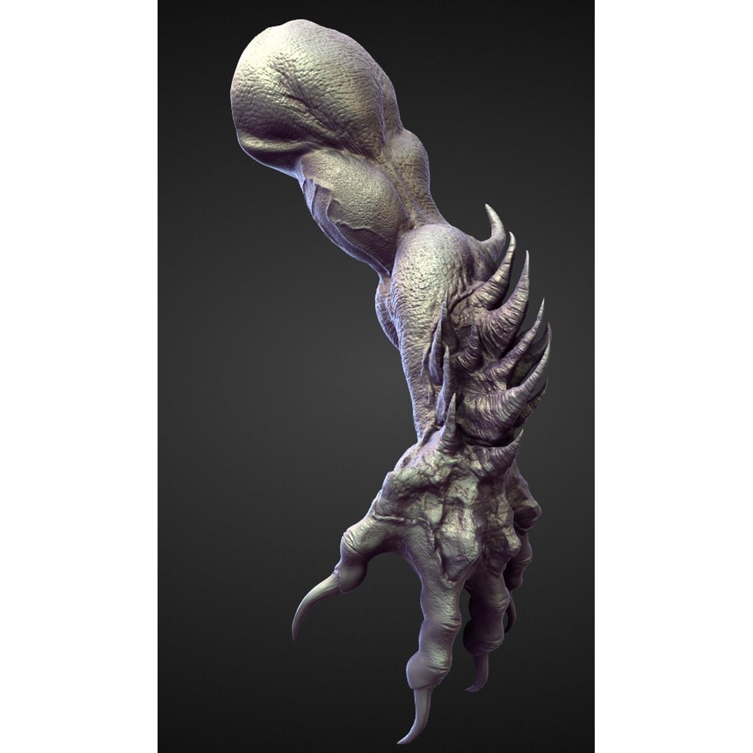 High Poly Arms 3D Model – Fantasy Character Sculpt Pack, Blender & OBJ - View 5
