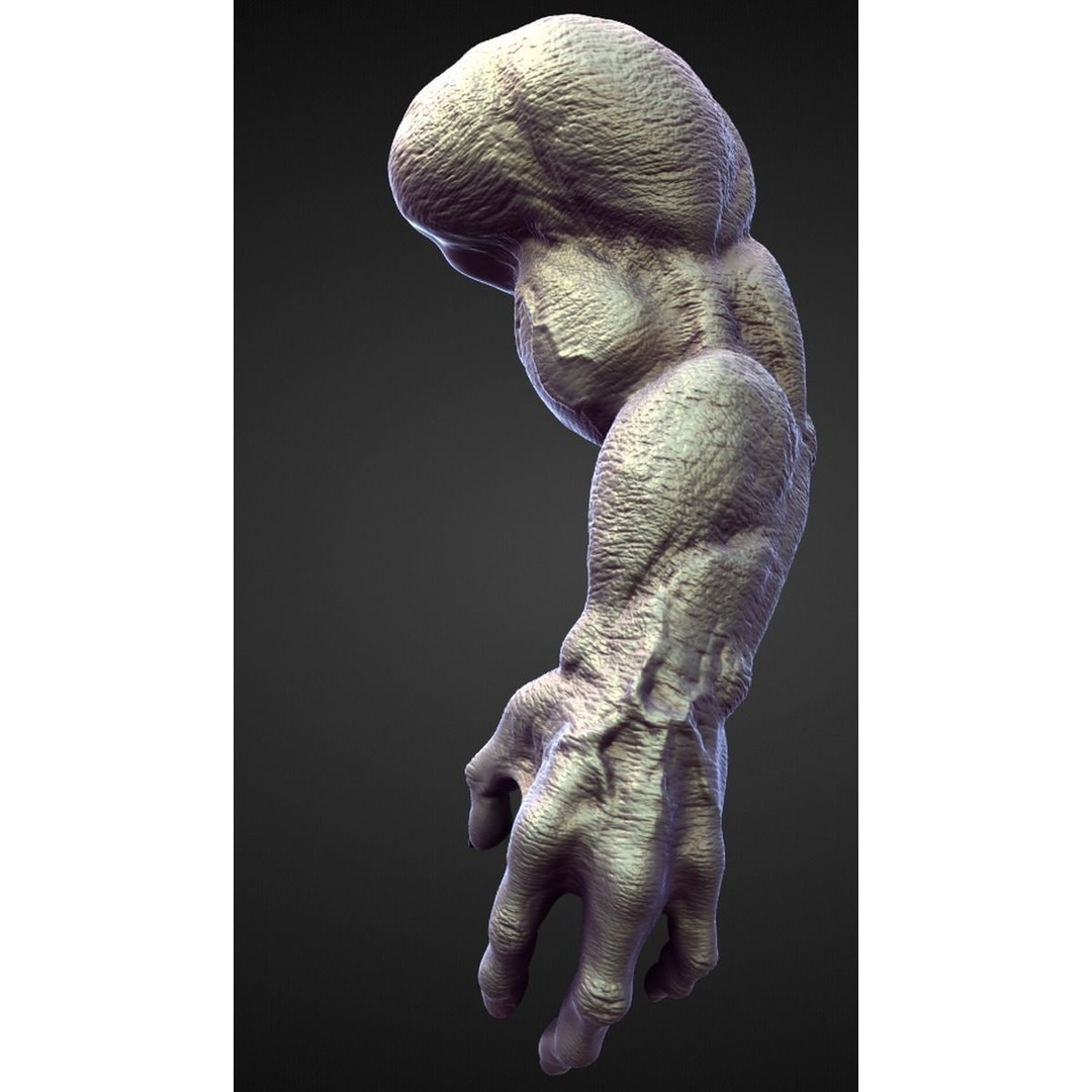 High Poly Arms 3D Model – Fantasy Character Sculpt Pack, Blender & OBJ - View 6