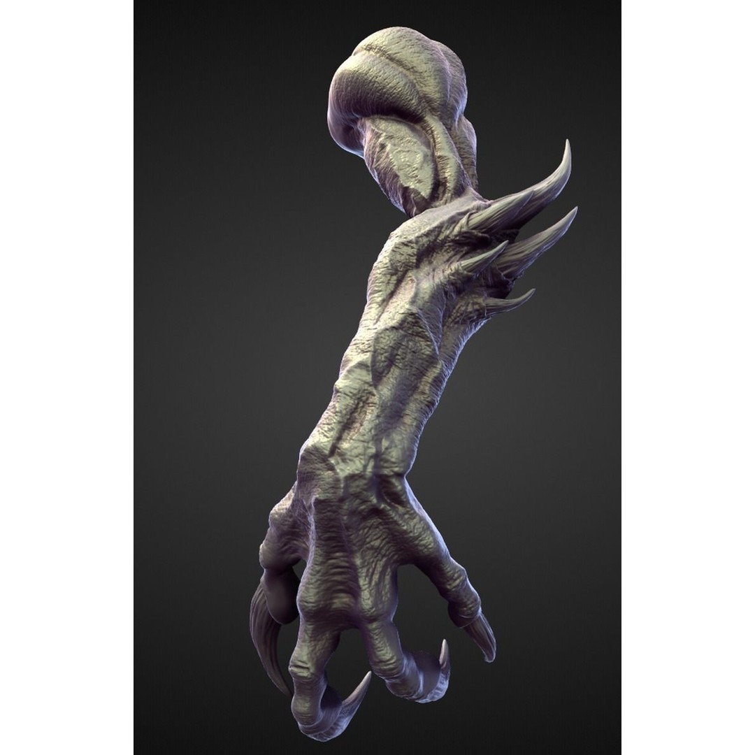 High Poly Arms 3D Model – Fantasy Character Sculpt Pack, Blender & OBJ - View 9