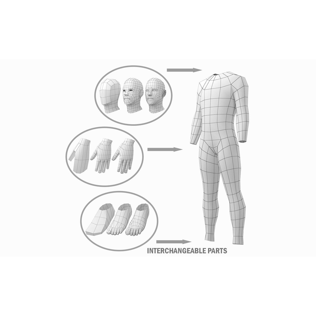 Natural Human Base Mesh 3D Model – Low Poly Bundle for Animation, FBX