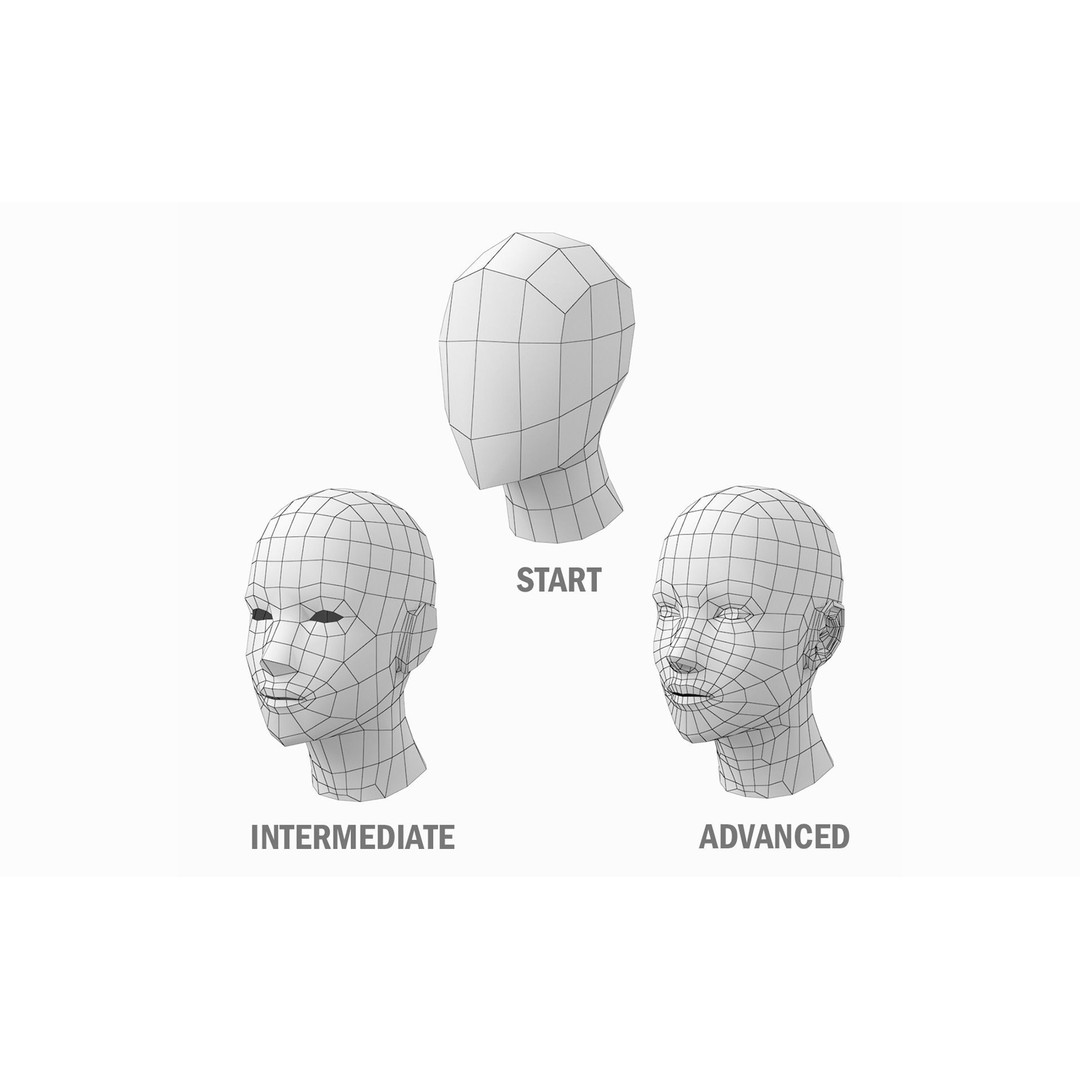 Natural Human Base Mesh 3D Model – Low Poly Bundle for Animation, FBX - View 18