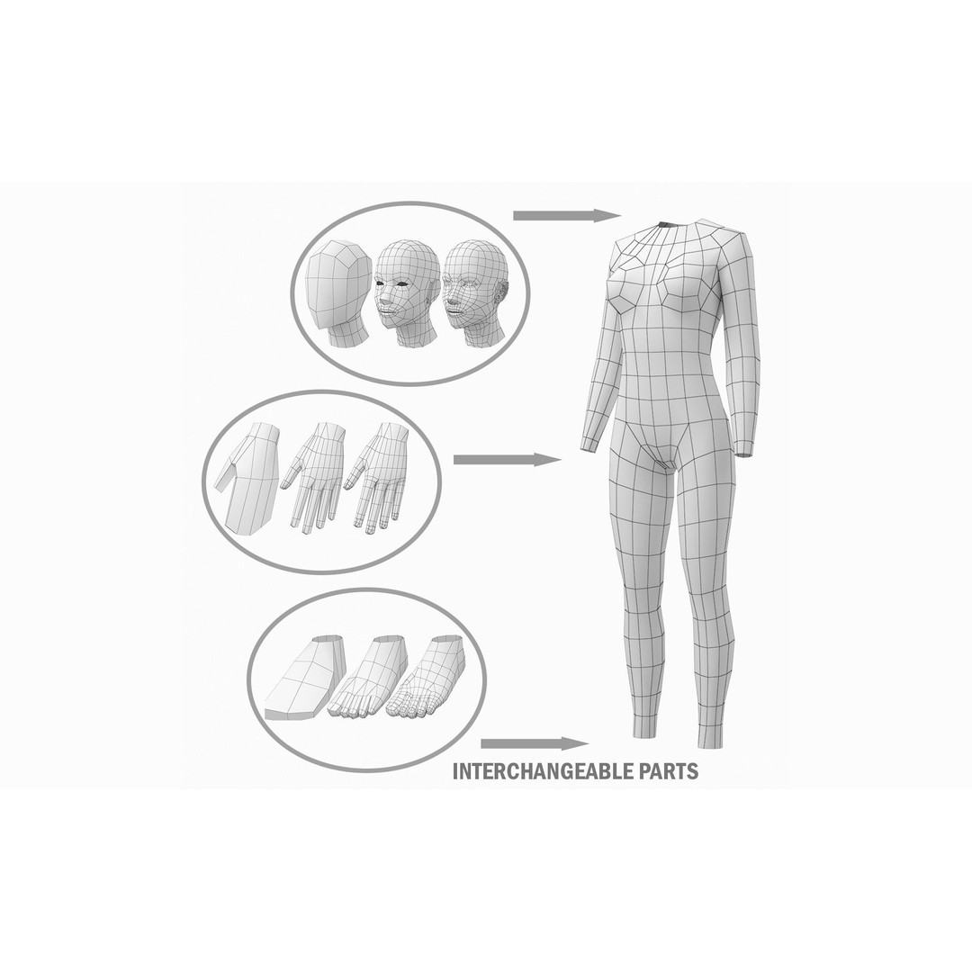 Natural Human Base Mesh 3D Model – Low Poly Bundle for Animation, FBX - View 21