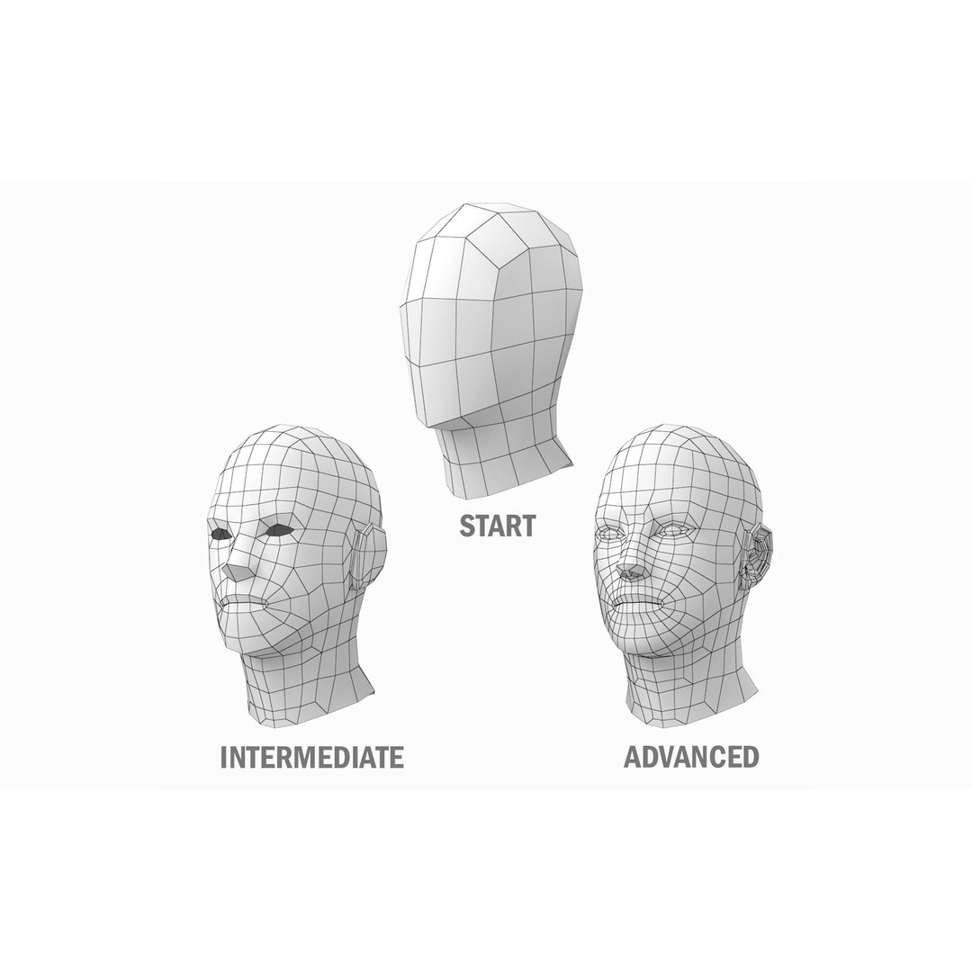 Natural Human Base Mesh 3D Model – Low Poly Bundle for Animation, FBX - View 22