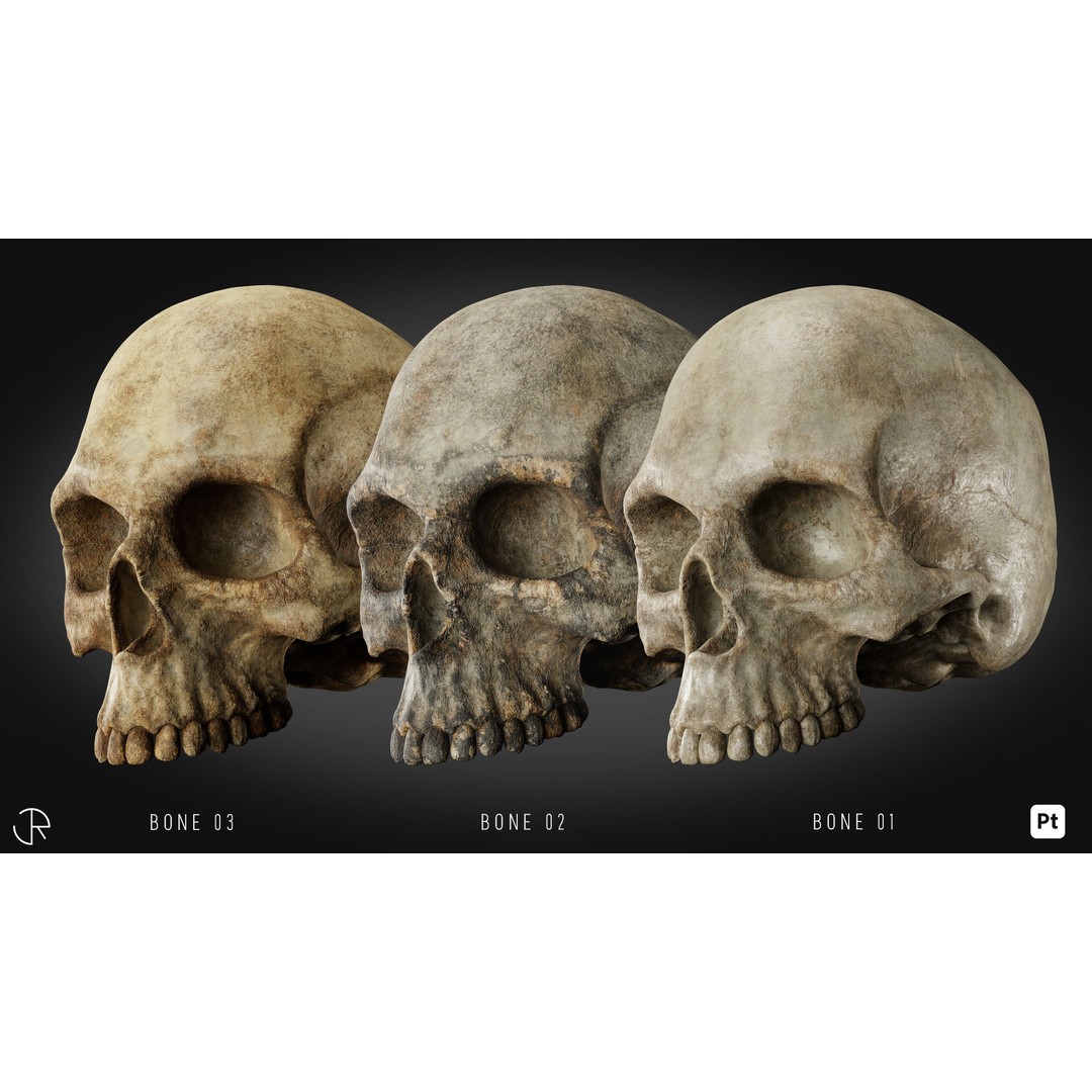 Horror Smart Materials 3D Model – Creepy Textures for Substance Painter - View 4