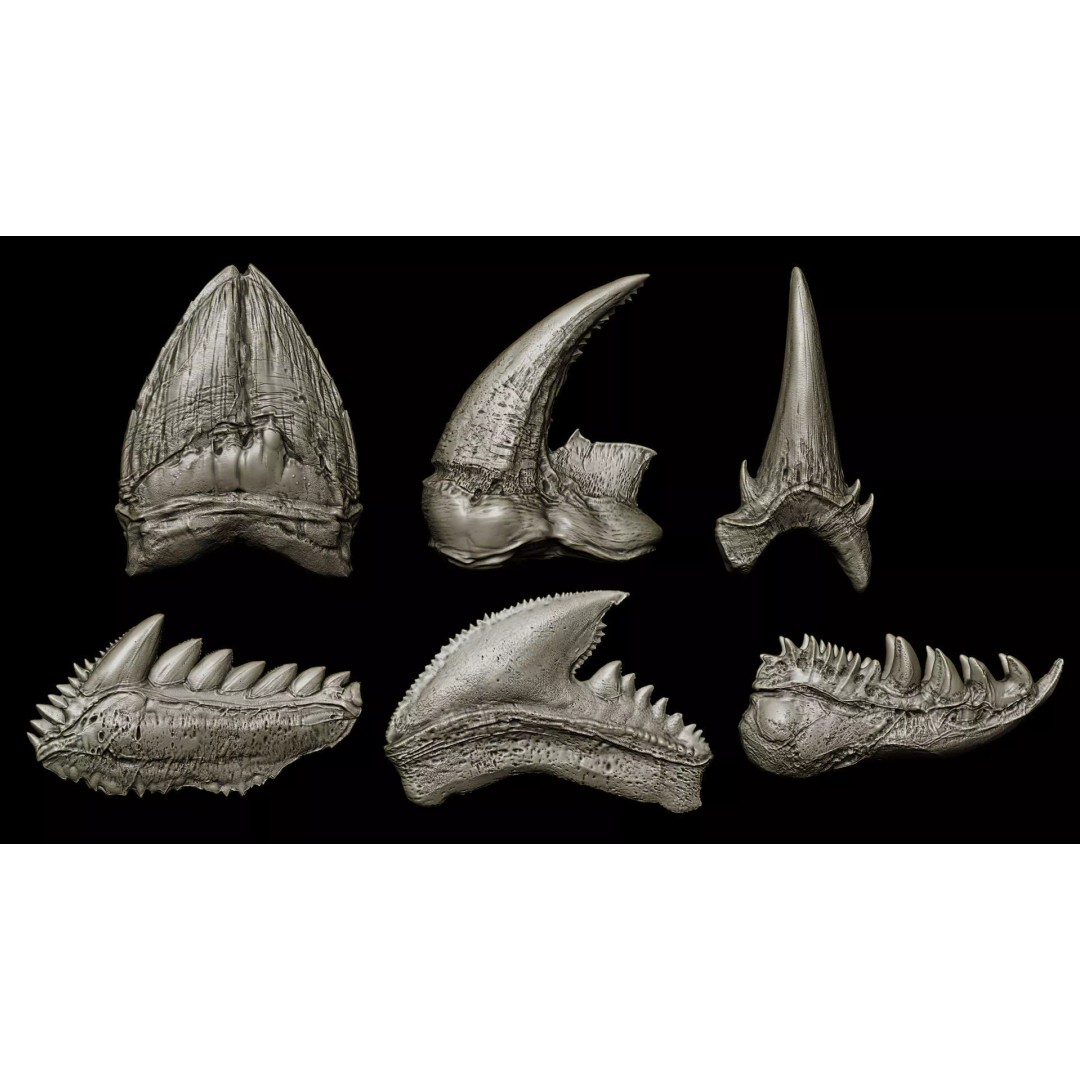 Ultimate Teeth 3D Model – High Poly Sculpts for Character Design, OBJ & Zbrush - View 18
