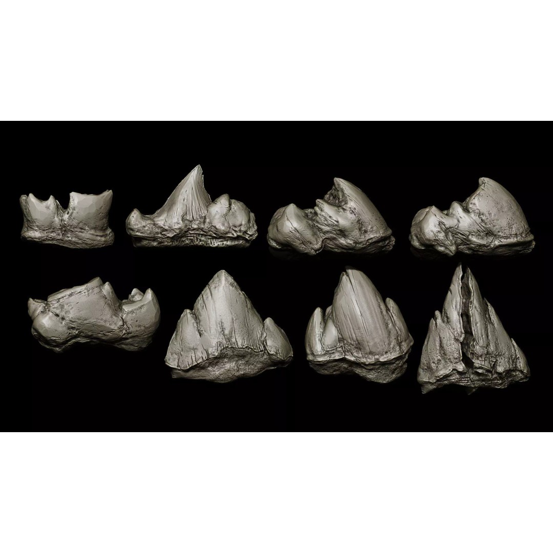 Ultimate Teeth 3D Model – High Poly Sculpts for Character Design, OBJ & Zbrush - View 19