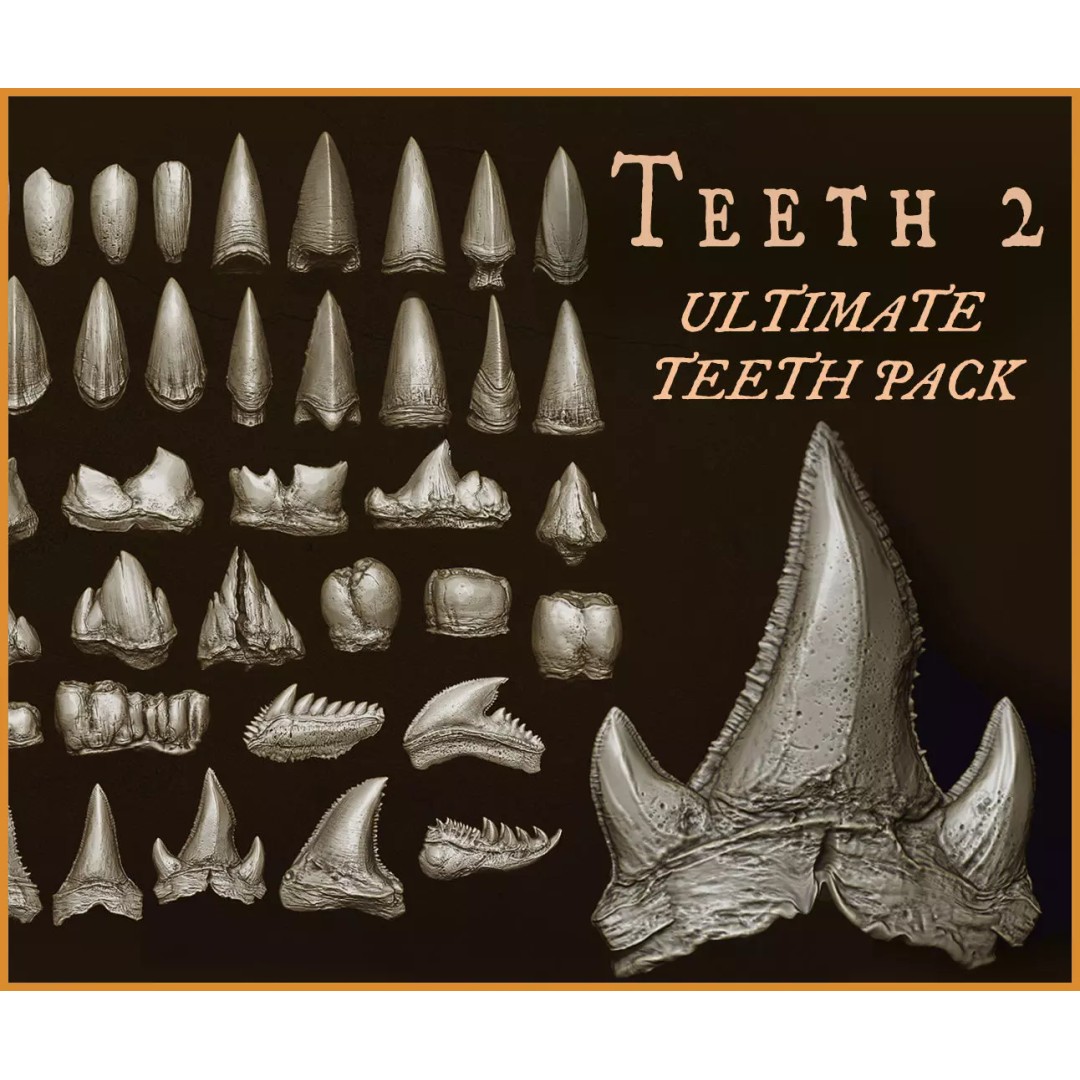 Ultimate Teeth 3D Model – High Poly Sculpts for Character Design, OBJ & Zbrush - View 2