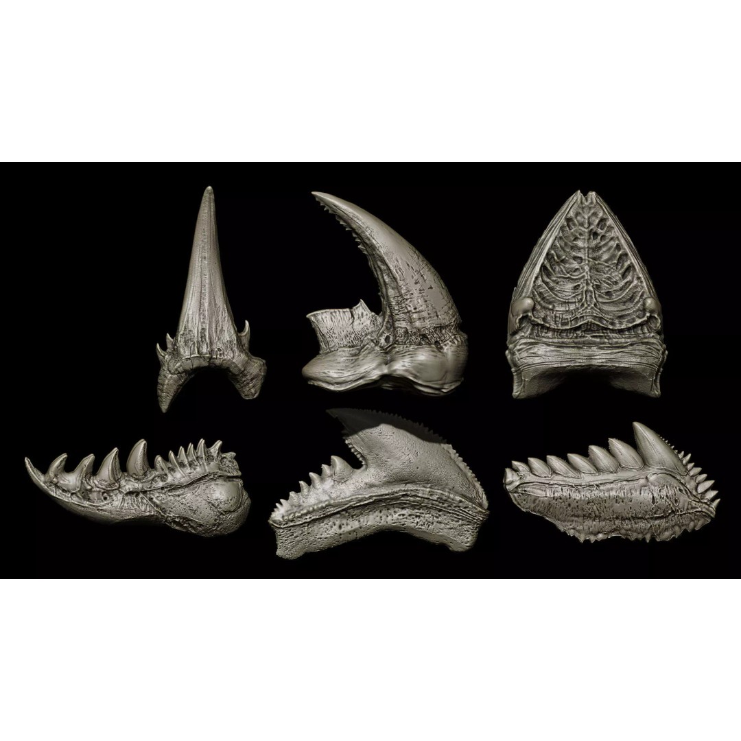 Ultimate Teeth 3D Model – High Poly Sculpts for Character Design, OBJ & Zbrush - View 20