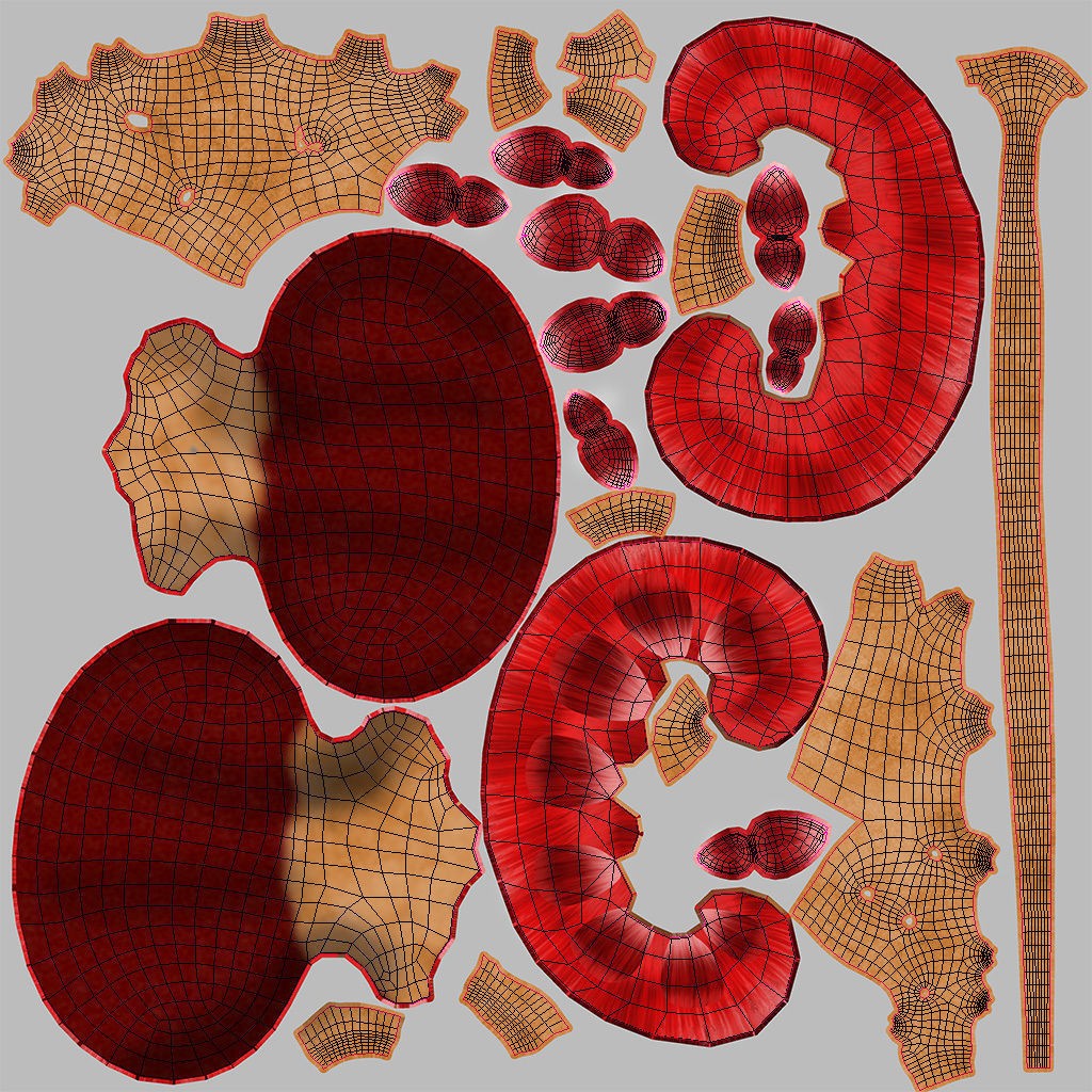 Complete Human Organs 3D Model – Low Poly Anatomical Asset, FBX, OBJ - View 75