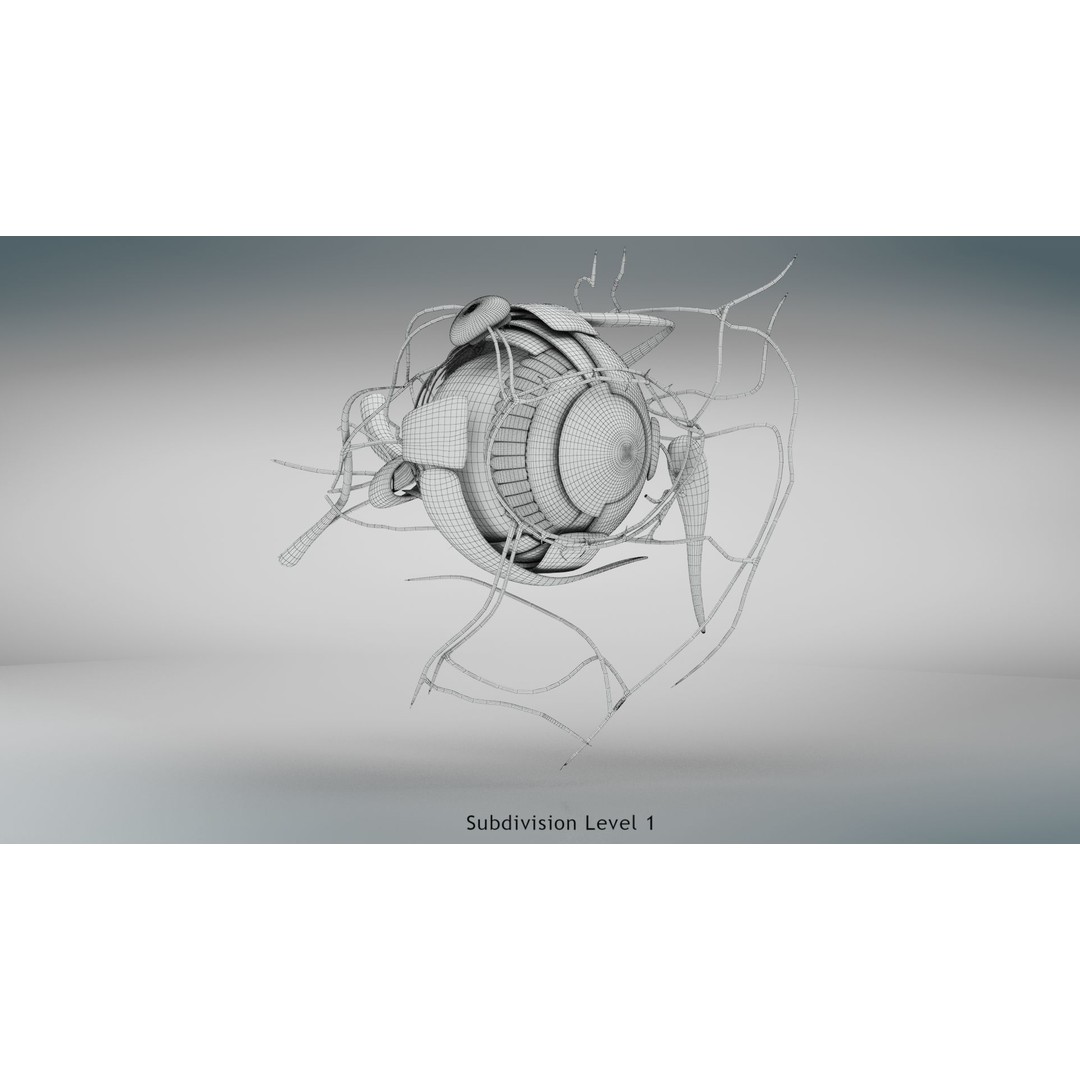 Complete Human Organs 3D Model – Low Poly Anatomical Asset, FBX, OBJ - View 78