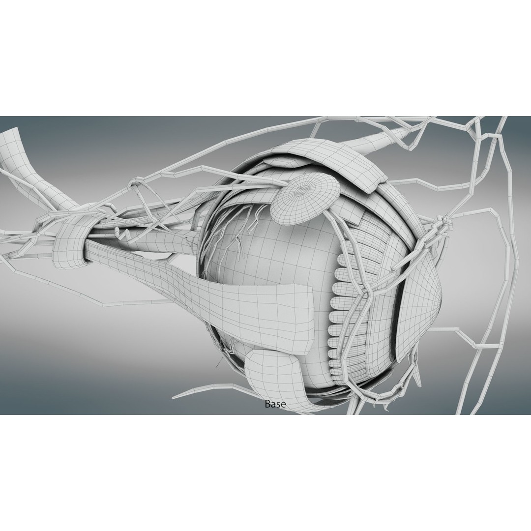 Complete Human Organs 3D Model – Low Poly Anatomical Asset, FBX, OBJ - View 81