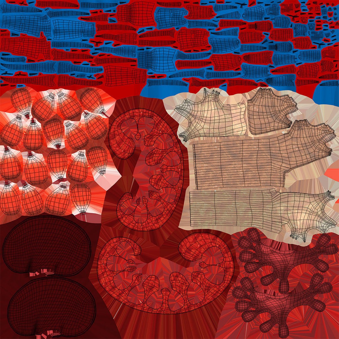 Kidney Anatomy 3D Model – Low Poly Medical Asset, FBX, PBR Textures - View 10