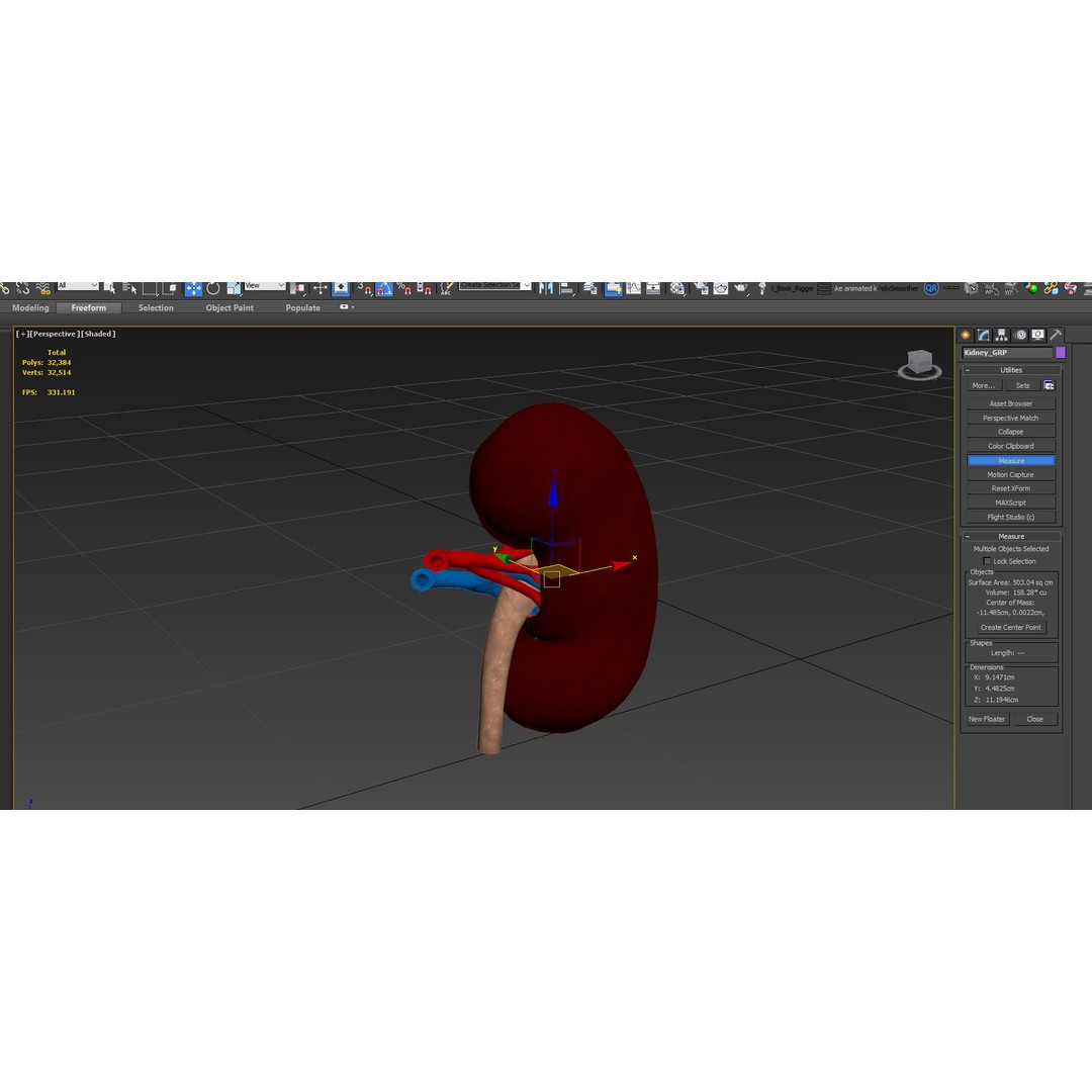 Kidney Anatomy 3D Model – Low Poly Medical Asset, FBX, PBR Textures - View 12