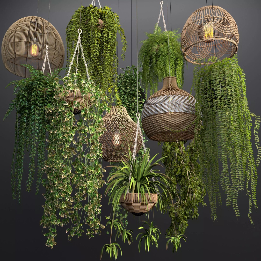Rattan Pendant Lights 3D Model – Organic Hanging Plants, FBX & OBJ - View 2