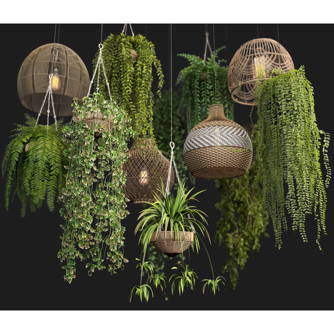 Rattan Pendant Lights 3D Model – Organic Hanging Plants, FBX & OBJ - View 3