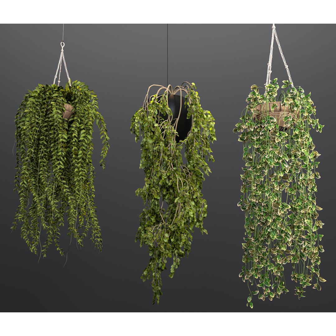 Rattan Pendant Lights 3D Model – Organic Hanging Plants, FBX & OBJ - View 4