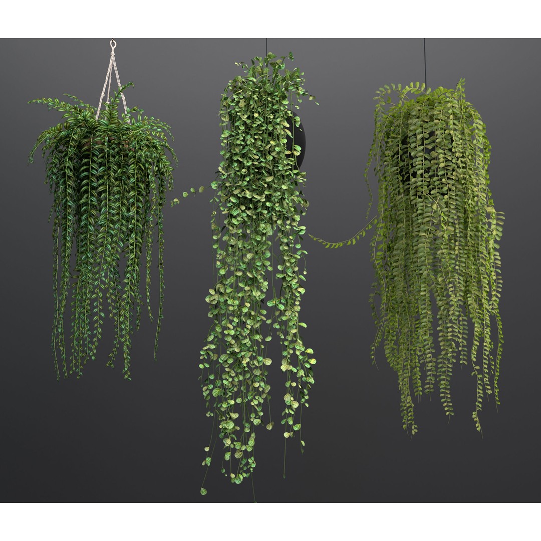 Rattan Pendant Lights 3D Model – Organic Hanging Plants, FBX & OBJ - View 5