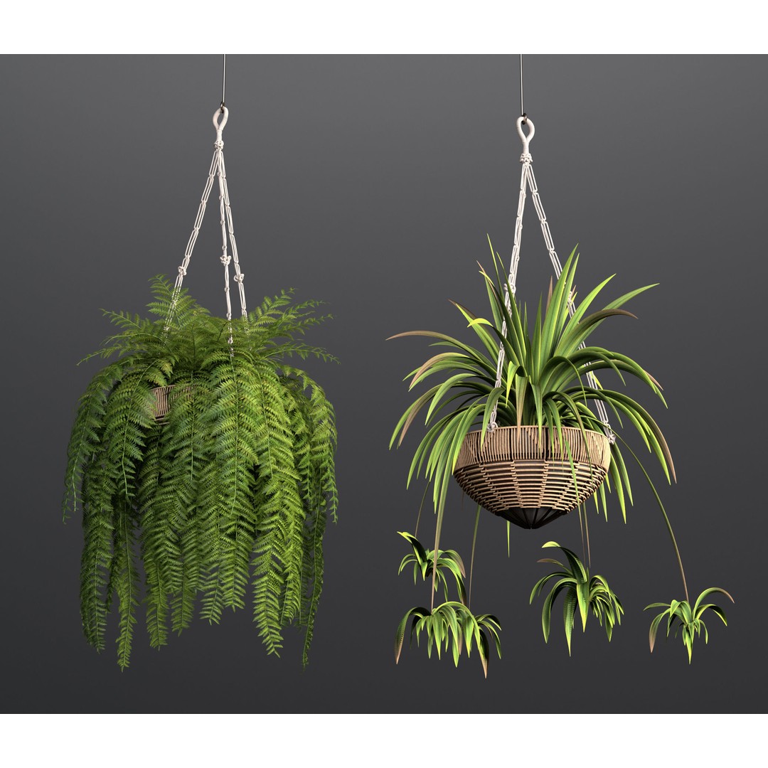 Rattan Pendant Lights 3D Model – Organic Hanging Plants, FBX & OBJ - View 6
