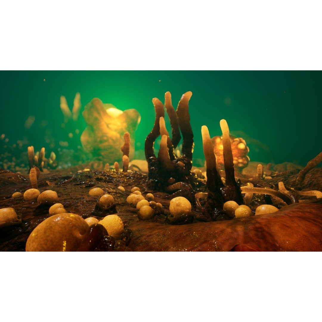 Alien Biomass Planet 3D Model – Low-Poly Game Asset, FBX & OBJ - View 13
