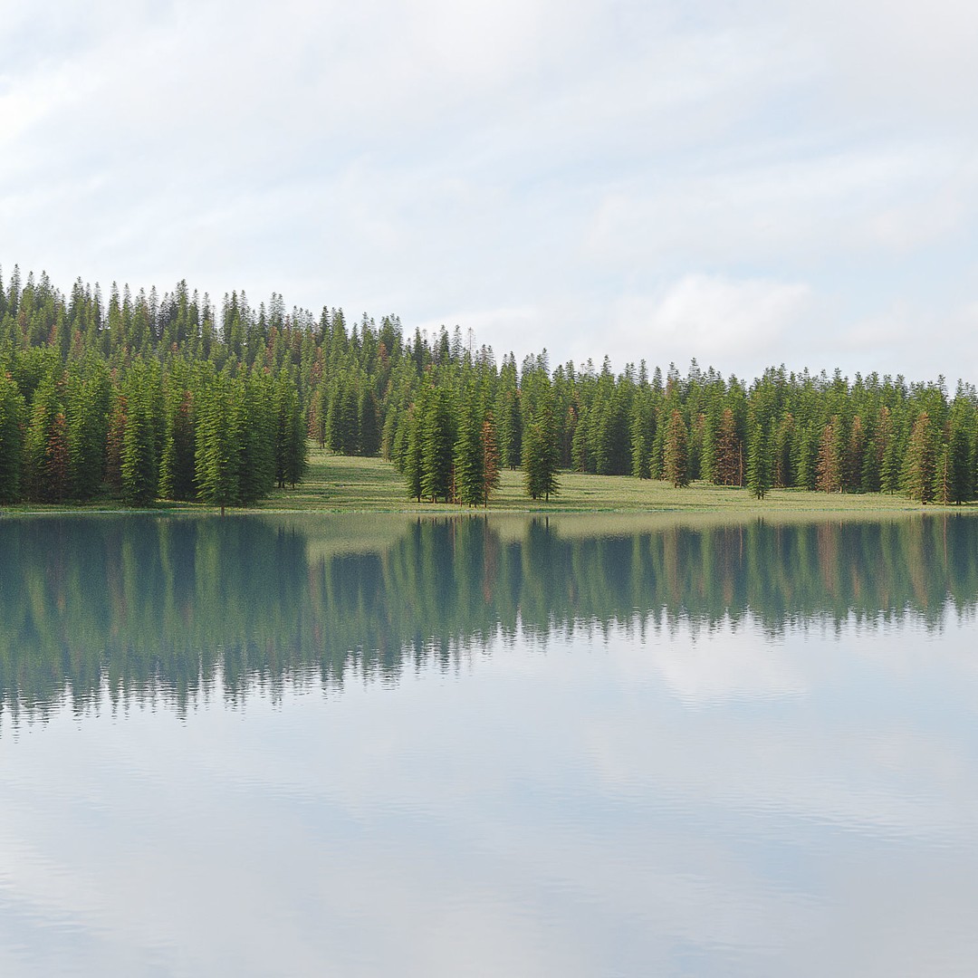 Mountain Landscape 3D Model – High Poly Terrain with Lake, FBX - View 6