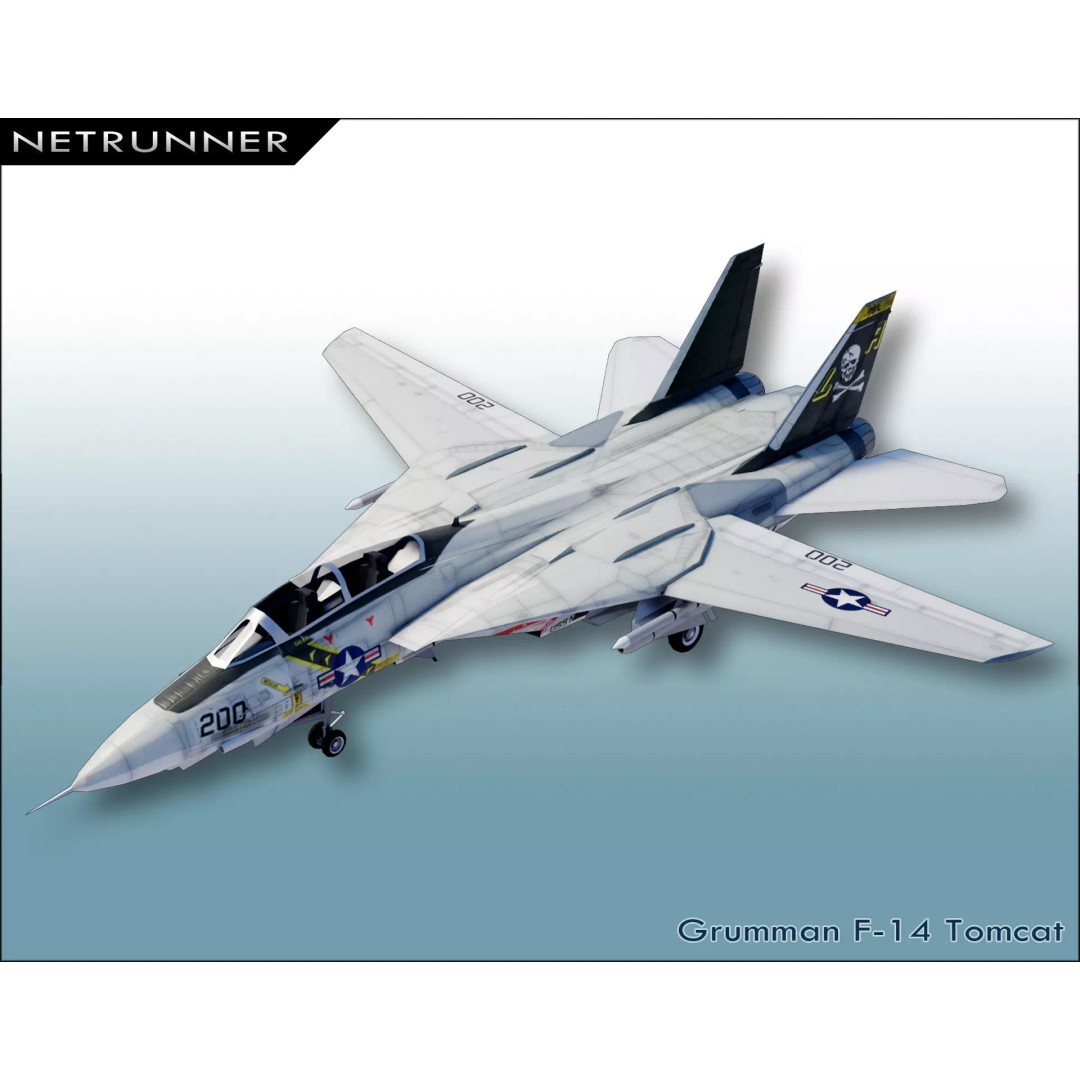Grumman F-14 Tomcat 3D Model – Low Poly Rigged Aircraft, FBX - View 2