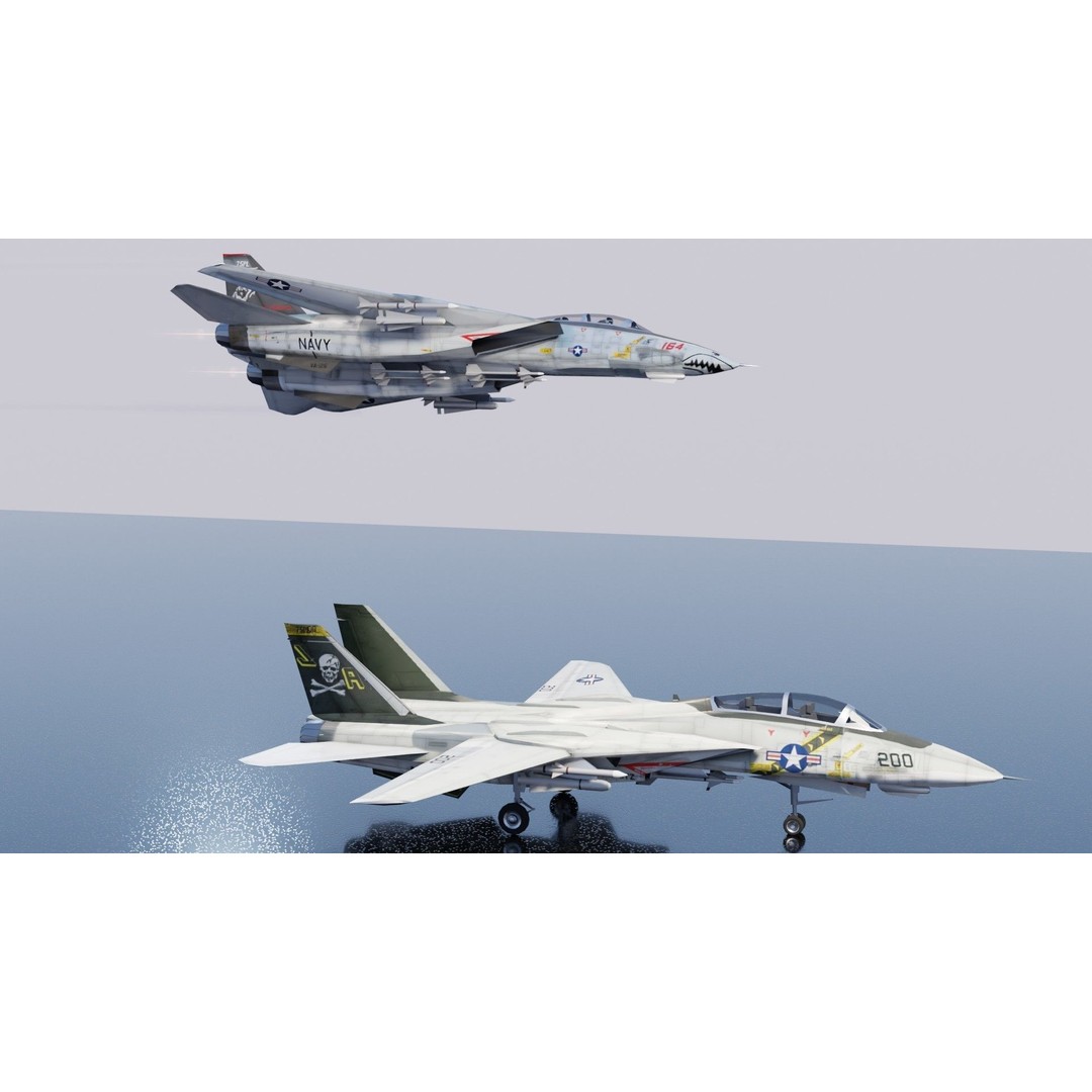 Grumman F-14 Tomcat 3D Model – Low Poly Rigged Aircraft, FBX - View 20