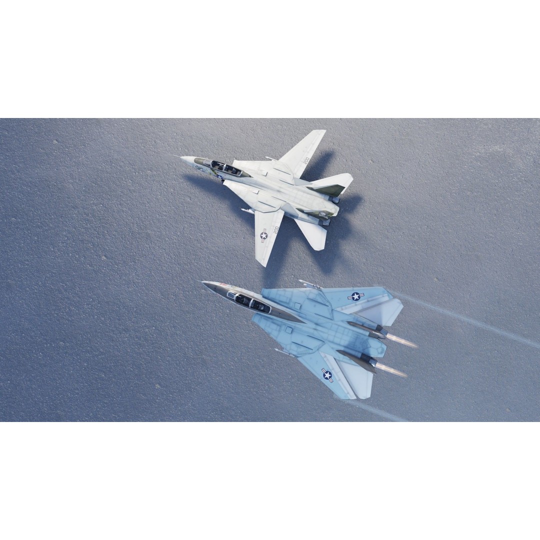 Grumman F-14 Tomcat 3D Model – Low Poly Rigged Aircraft, FBX - View 21