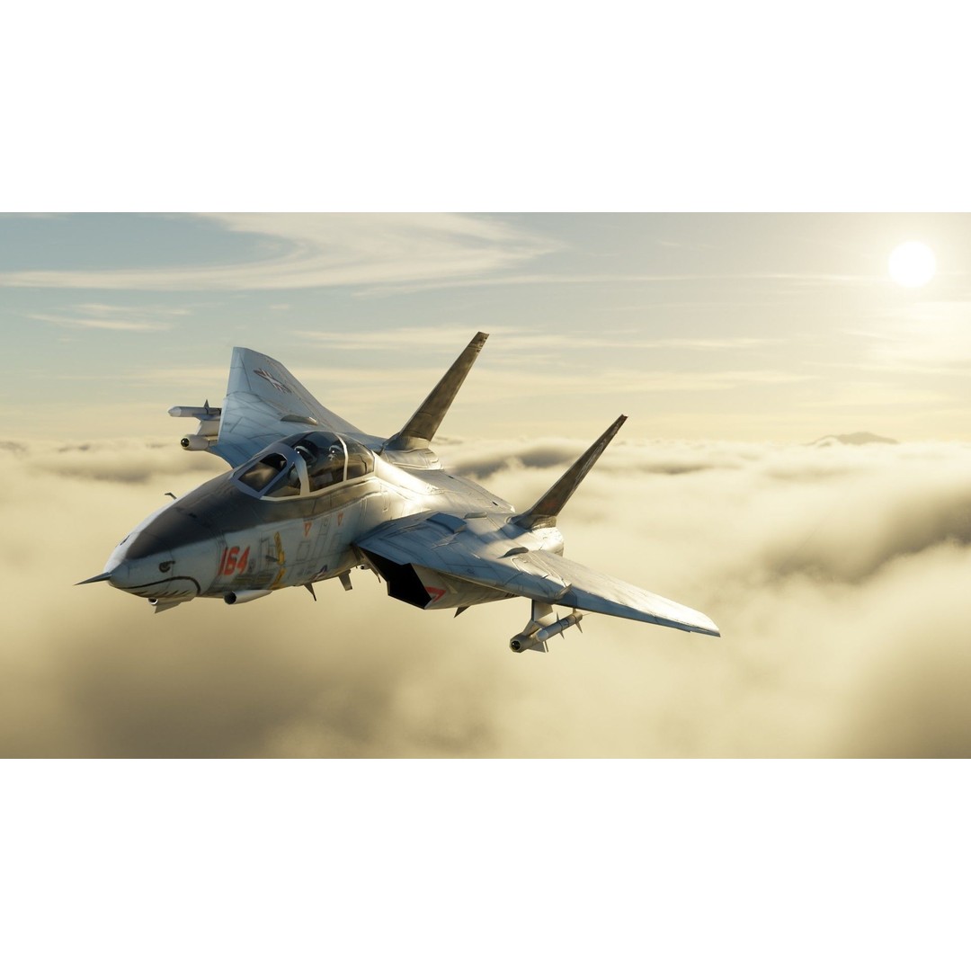 Grumman F-14 Tomcat 3D Model – Low Poly Rigged Aircraft, FBX - View 25