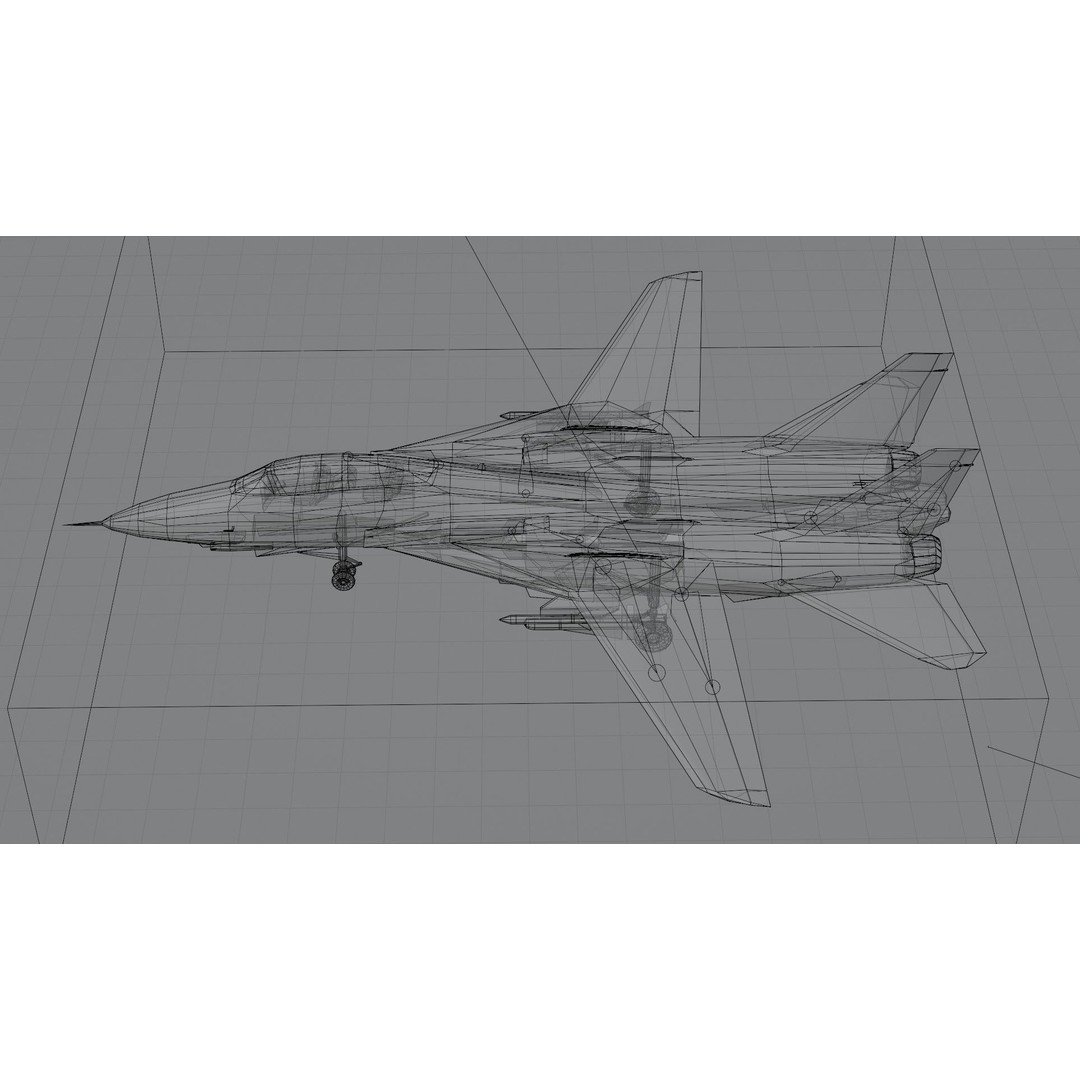Grumman F-14 Tomcat 3D Model – Low Poly Rigged Aircraft, FBX - View 5