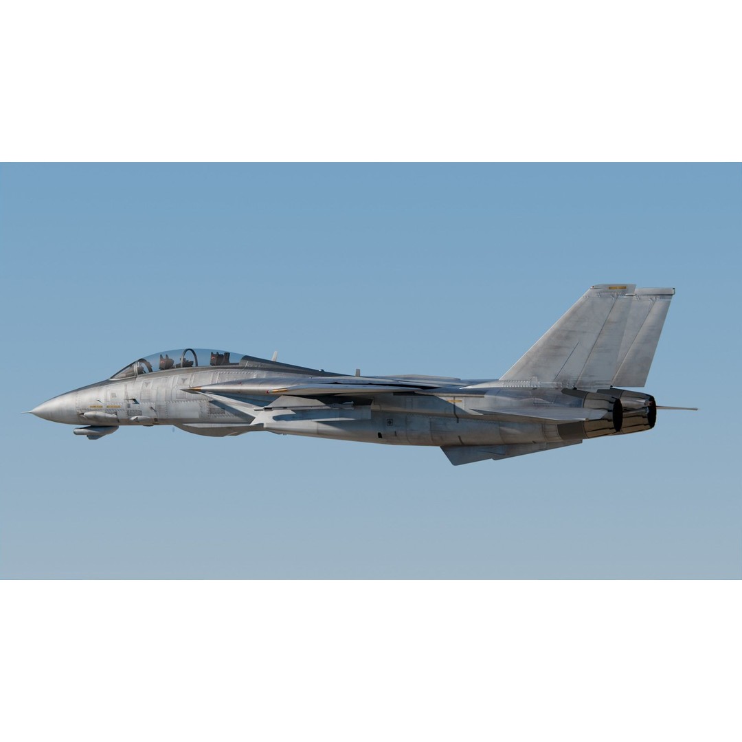 Grumman F-14 Tomcat 3D Model – High Poly Game Asset, PBR Textures, FBX