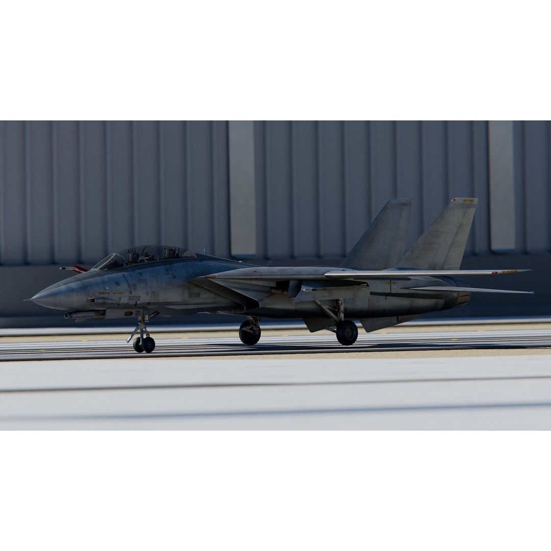 Grumman F-14 Tomcat 3D Model – High Poly Game Asset, PBR Textures, FBX - View 3