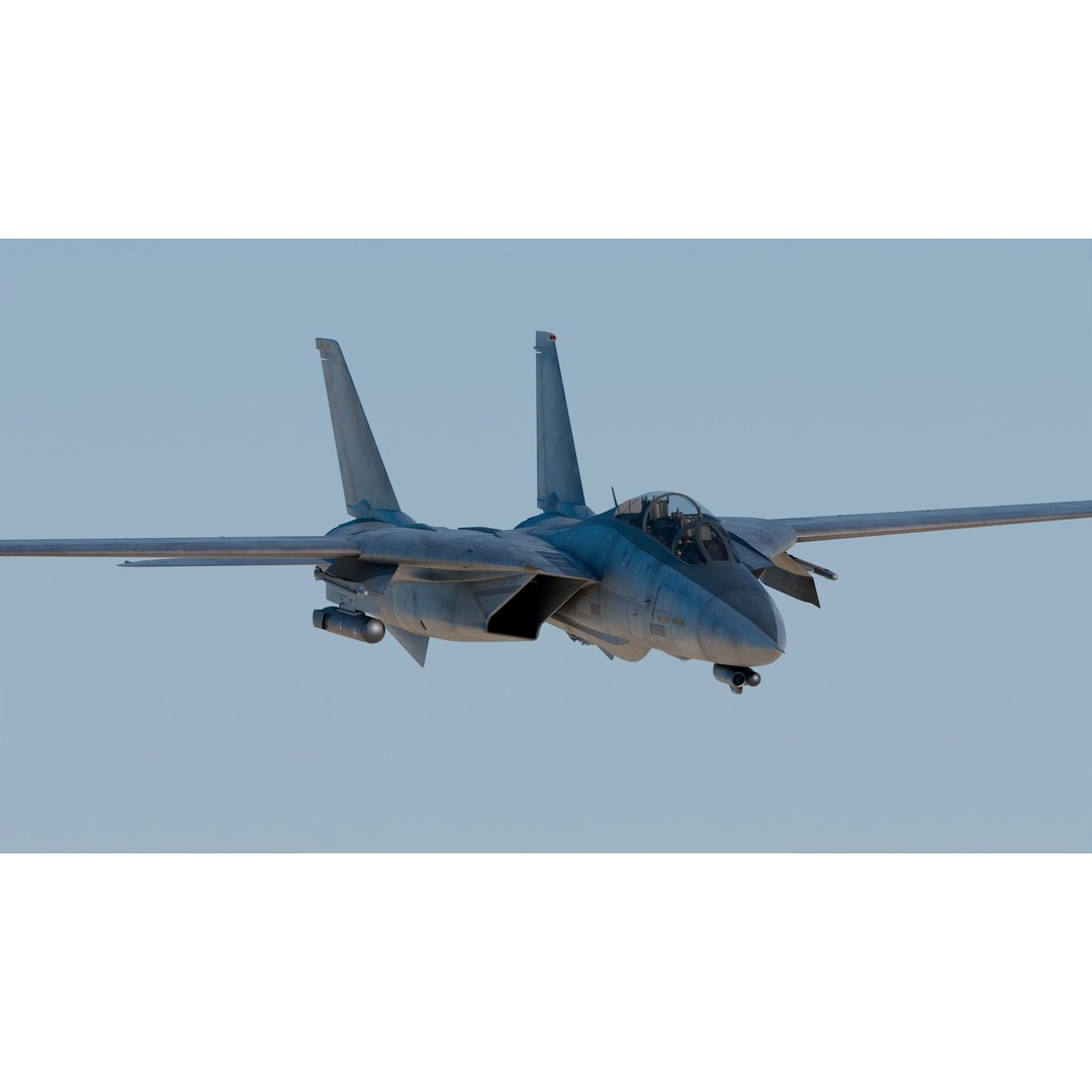 Grumman F-14 Tomcat 3D Model – High Poly Game Asset, PBR Textures, FBX - View 4