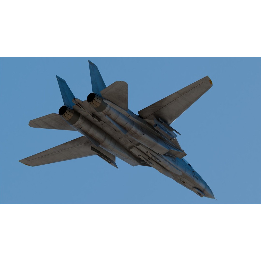 Grumman F-14 Tomcat 3D Model – High Poly Game Asset, PBR Textures, FBX - View 5