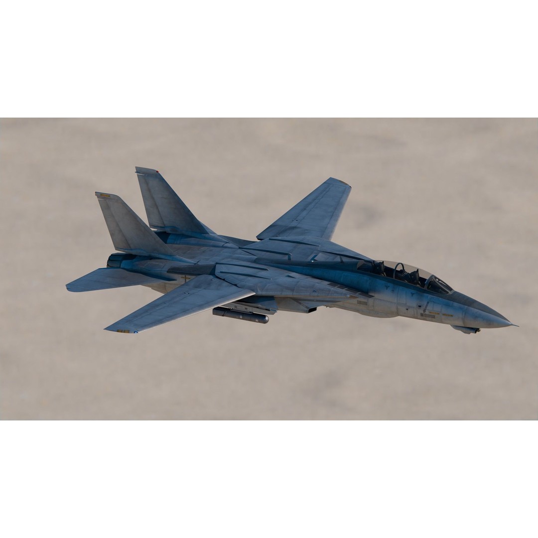 Grumman F-14 Tomcat 3D Model – High Poly Game Asset, PBR Textures, FBX - View 6