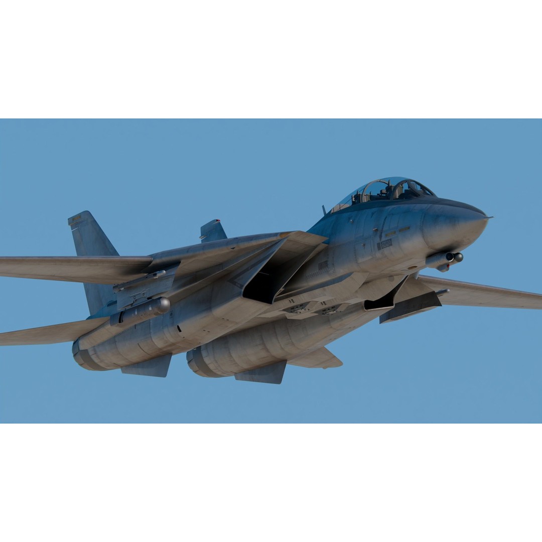 Grumman F-14 Tomcat 3D Model – High Poly Game Asset, PBR Textures, FBX - View 7