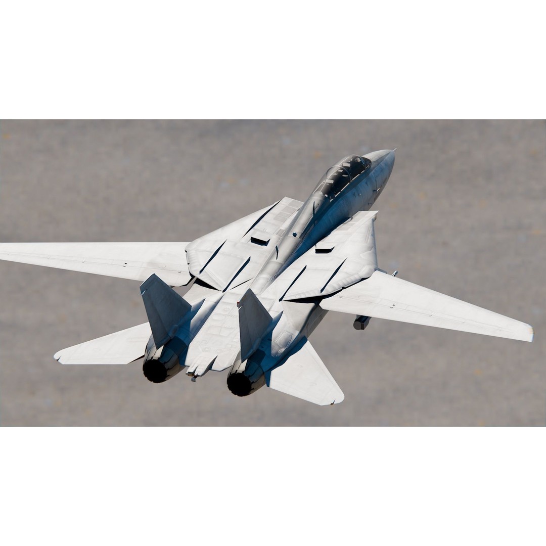 Grumman F-14 Tomcat 3D Model – High Poly Game Asset, PBR Textures, FBX - View 8