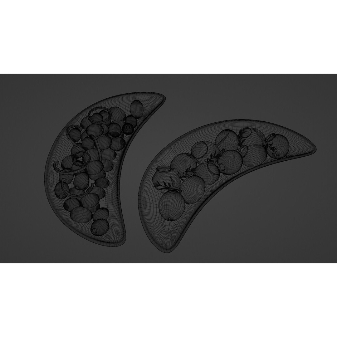 Olives 3D Model – Realistic Porcelain Plates with PBR Textures - View 4