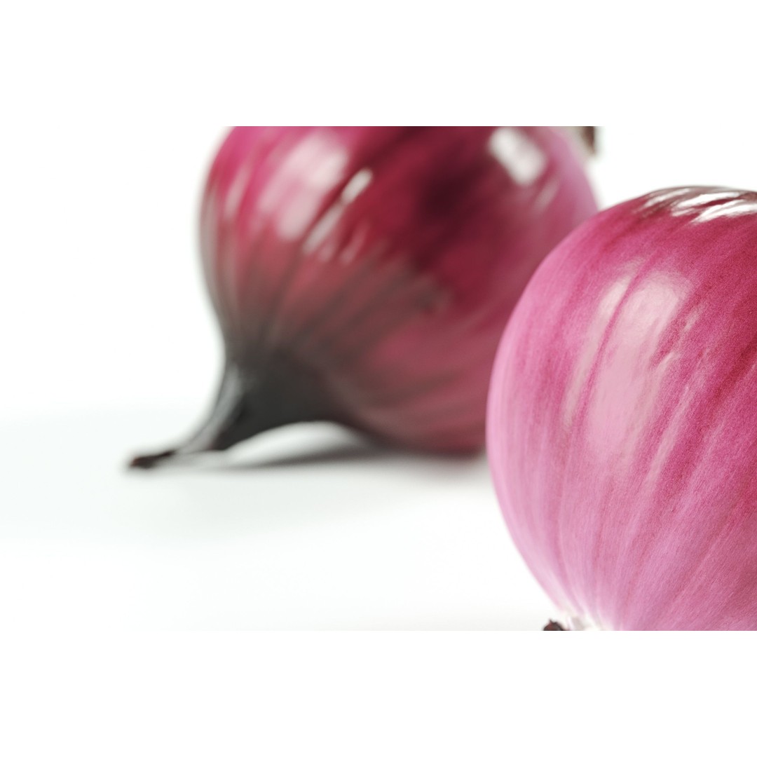 Peeled Red Onion 3D Model – Realistic PBR Textures, FBX & OBJ - View 3