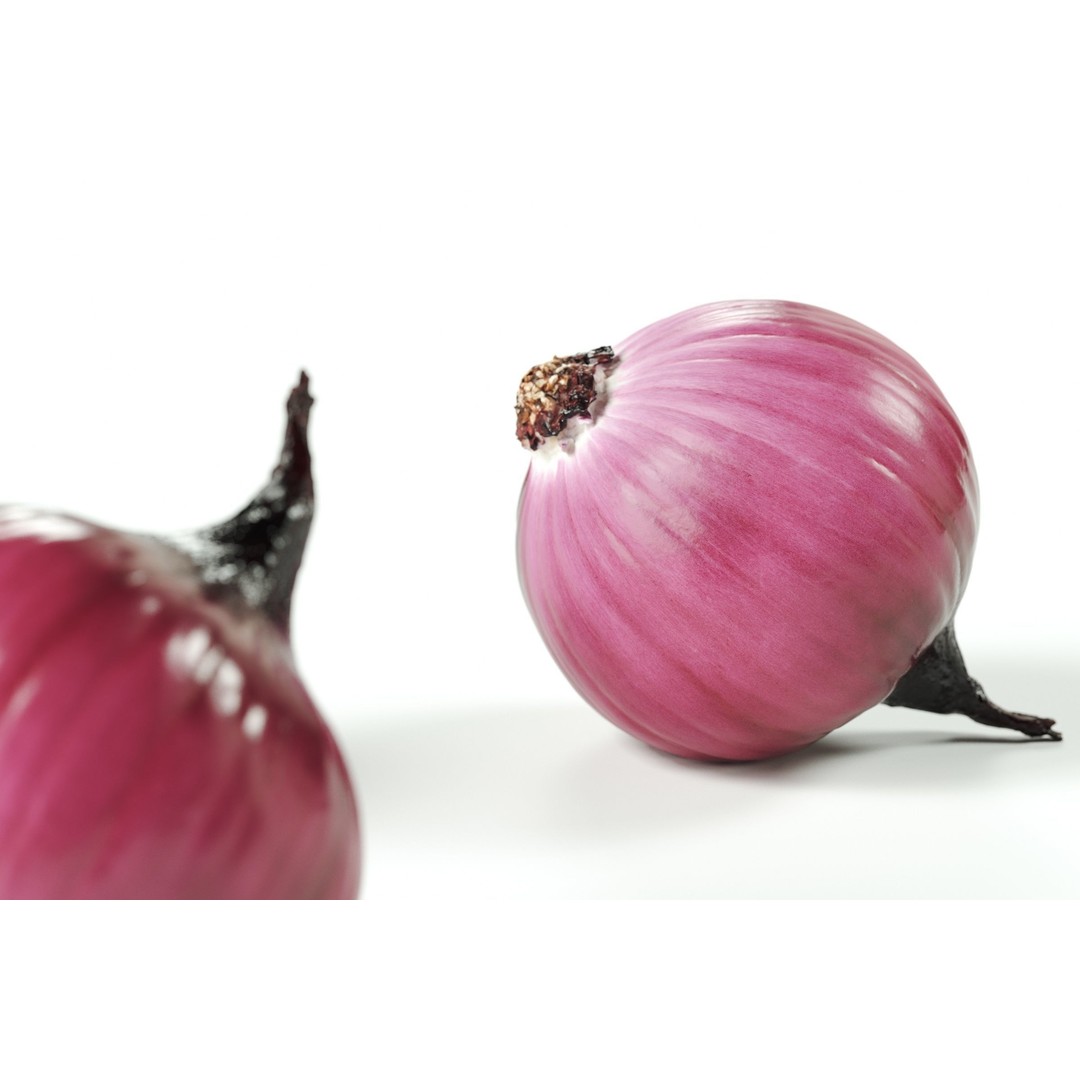 Peeled Red Onion 3D Model – Realistic PBR Textures, FBX & OBJ - View 4